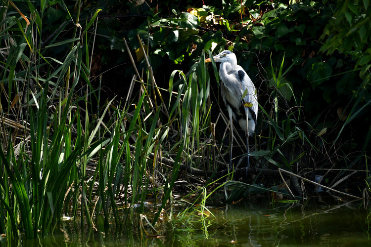 D5003_110345
