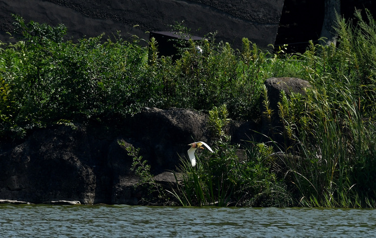 D5003_077693