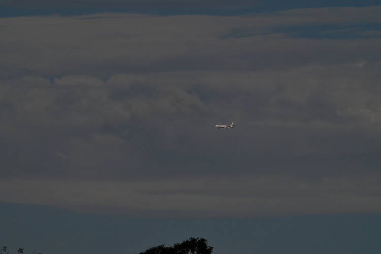 Z6ii1_103068