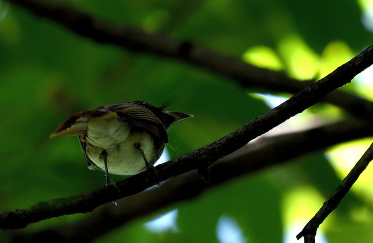 D5003_079190