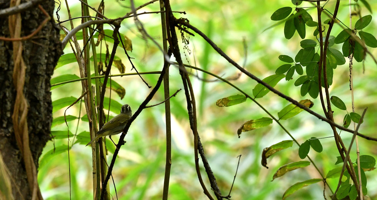 D5003_080252