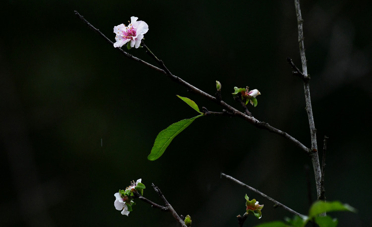 D5003_113712