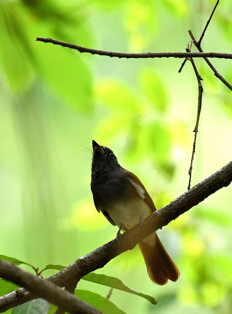 D5003_080452