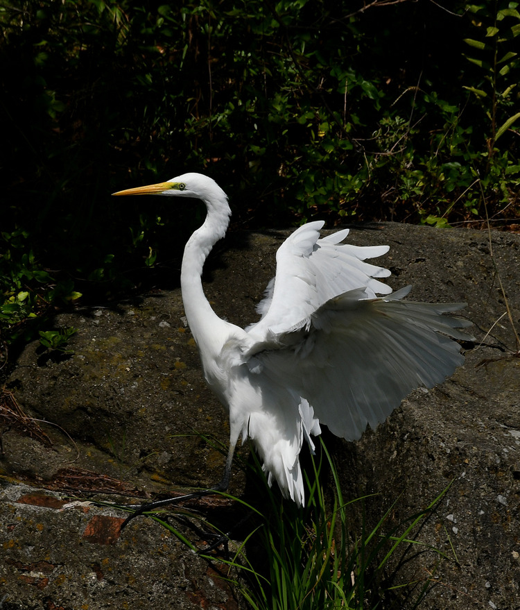 D5003_075250