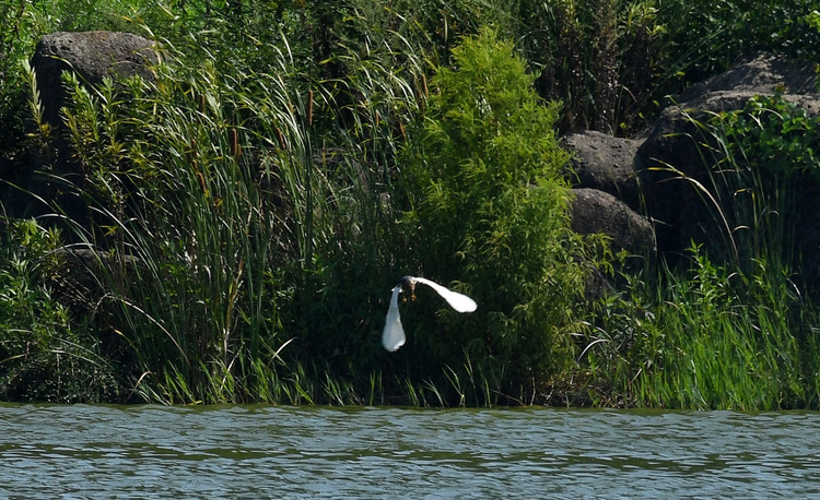 D5003_077686