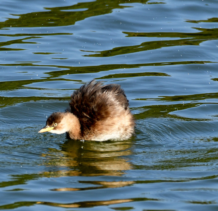 D5003_116719