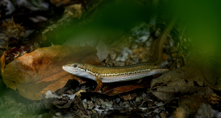 D5003_085132