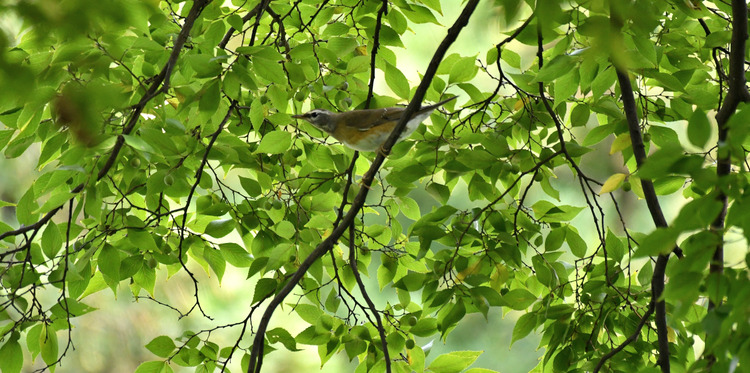 D5003_115957