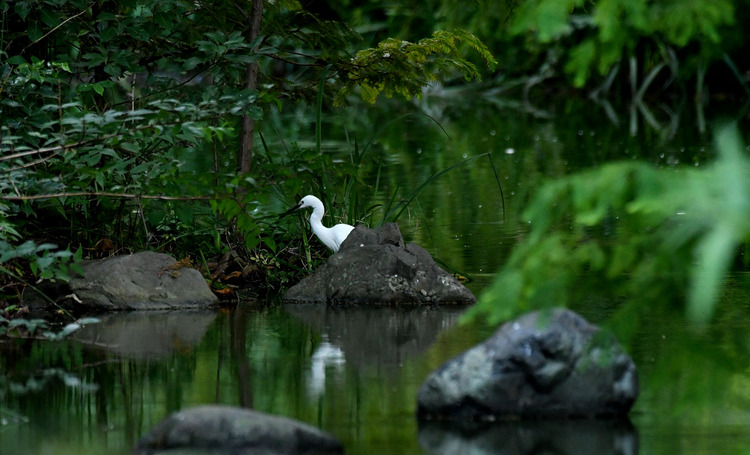 D5003_085840