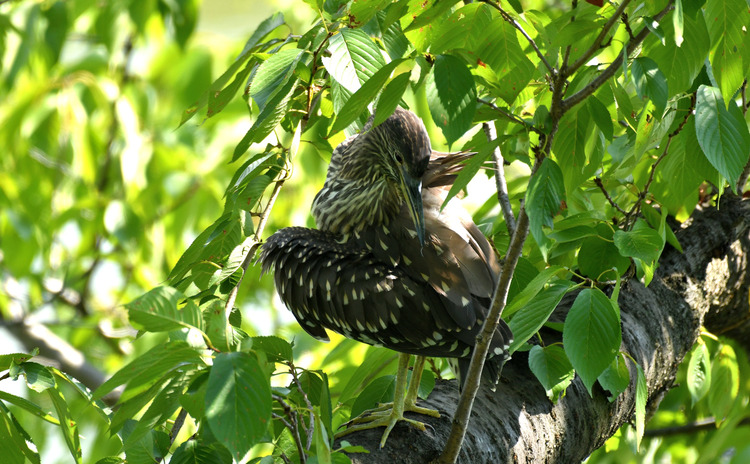 D5003_077151