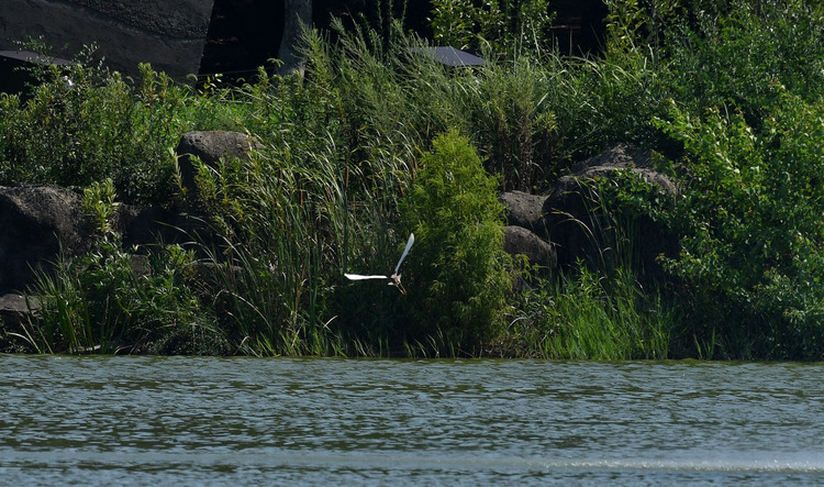 D5003_077687