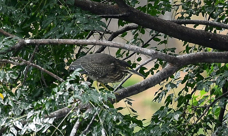 D5003_085456