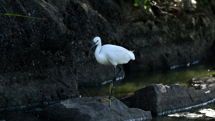 D5003_085935