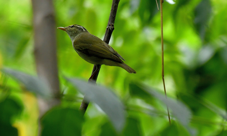 D5003_079592_01