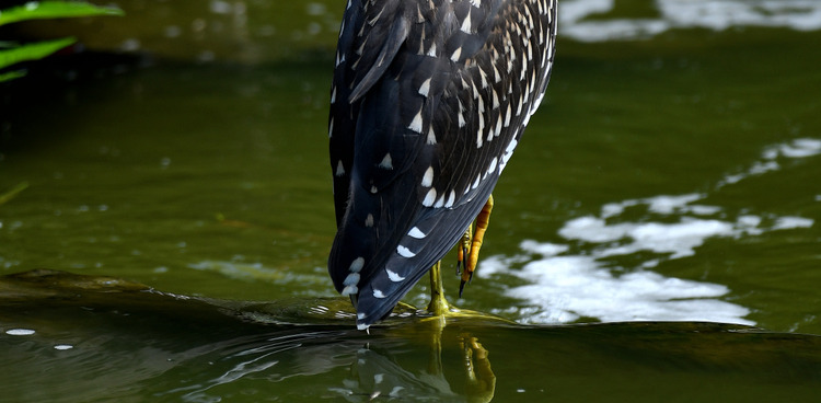 D5003_074798