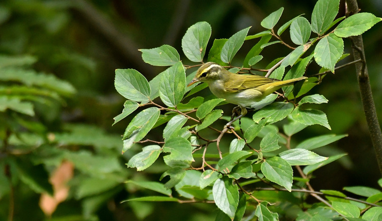 D5003_082829