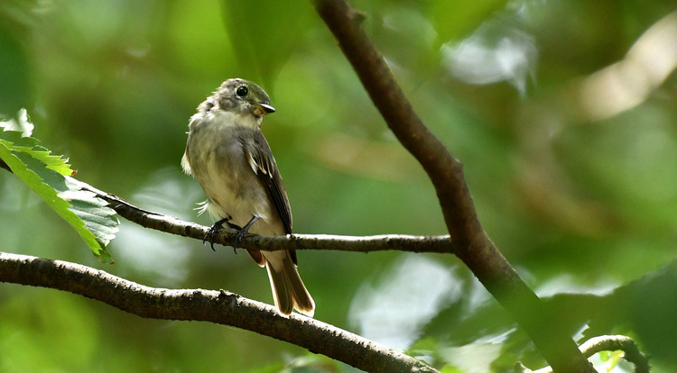 D5003_078759