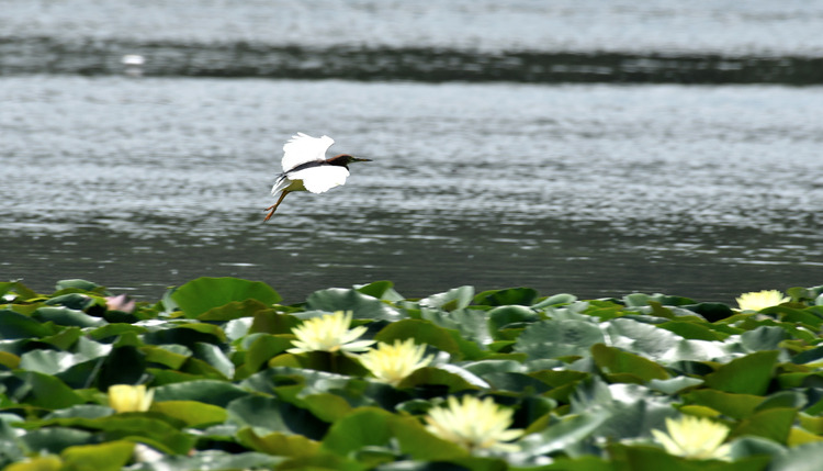 D5003_077266_00