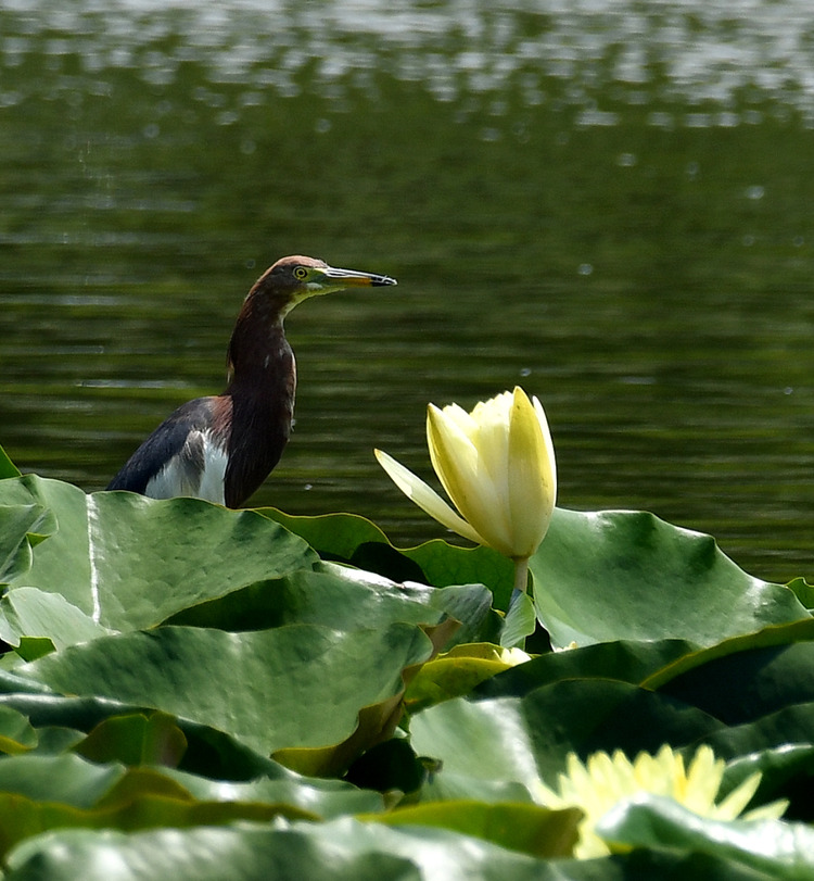 D5003_077289
