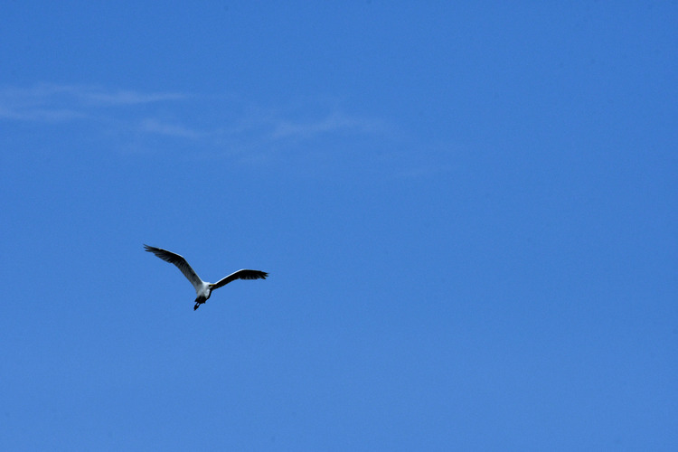 D5003_075534a