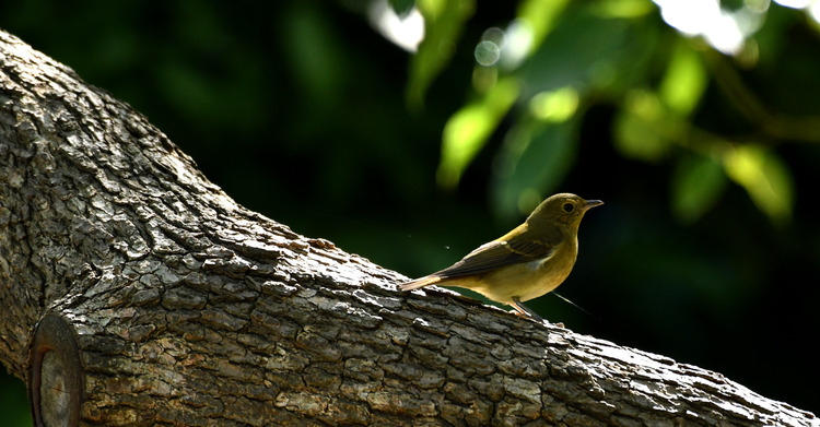 D5003_113858
