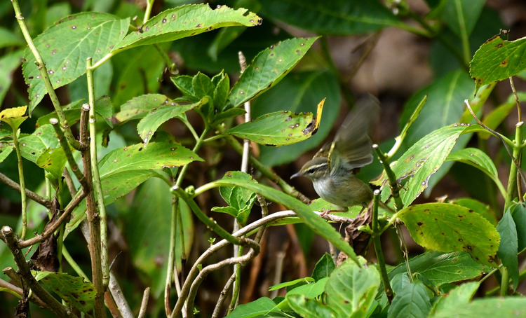 D5003_085789