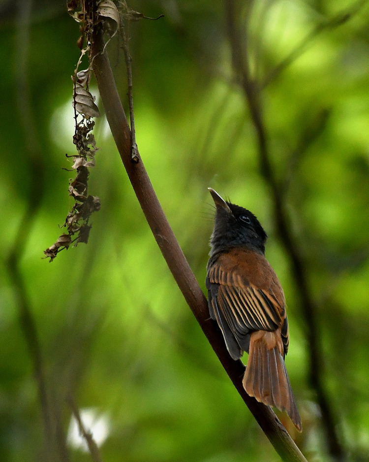 D5003_079577
