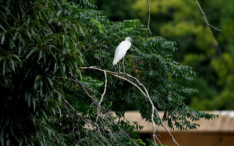 D5003_084612