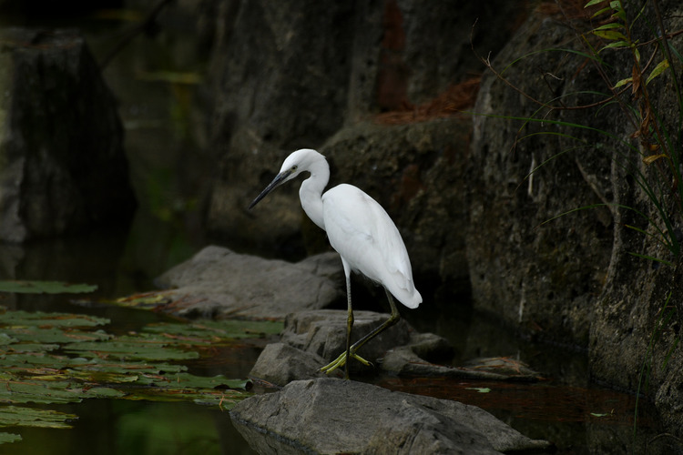 D5003_084686