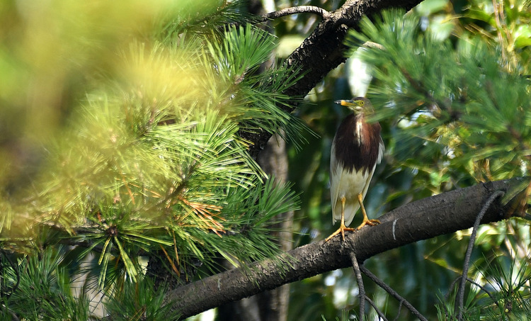 D5003_078029