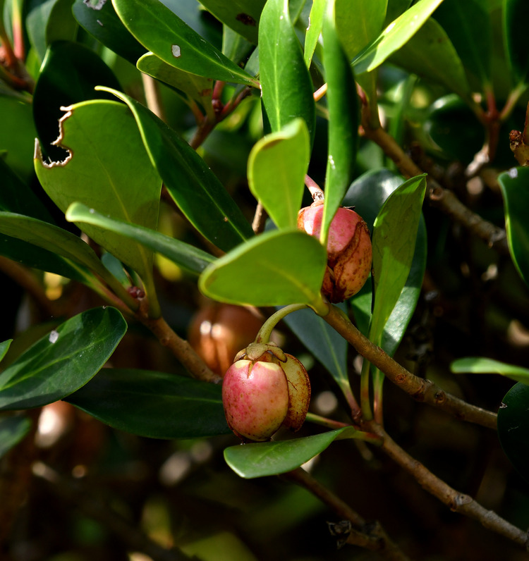 D5003_115234