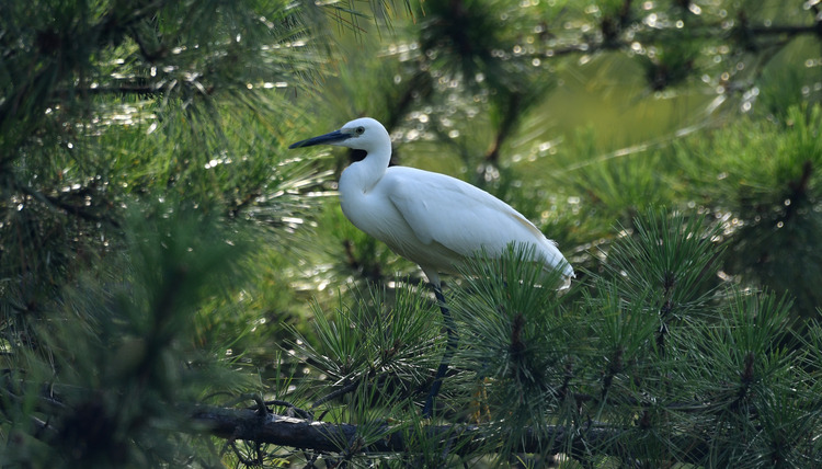 D5003_078089