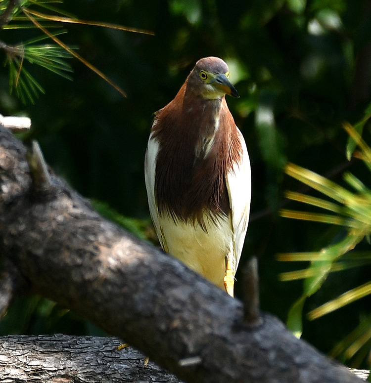 D5003_077800