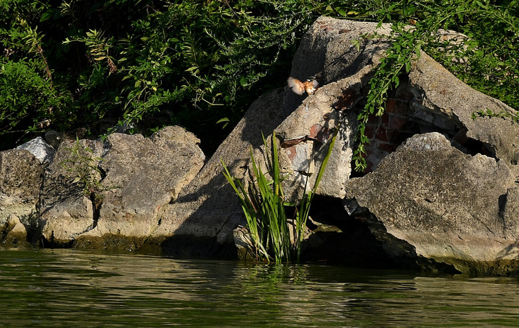 D5003_082457