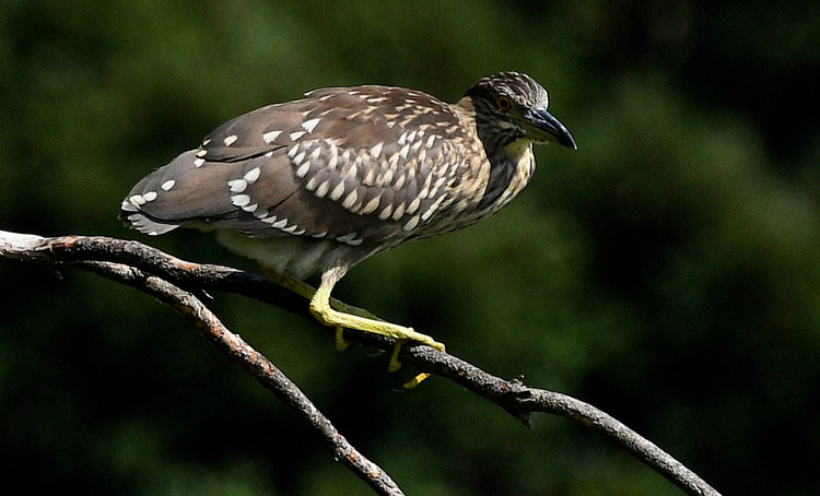 D5003_075157