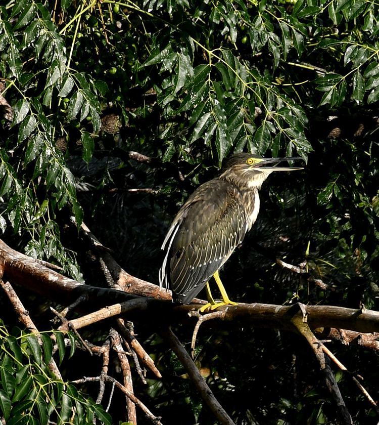 D5003_085977