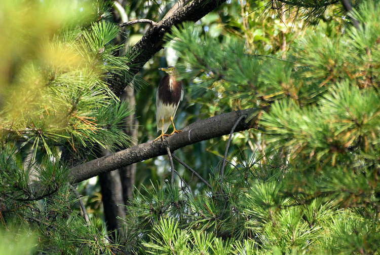 D5003_078026