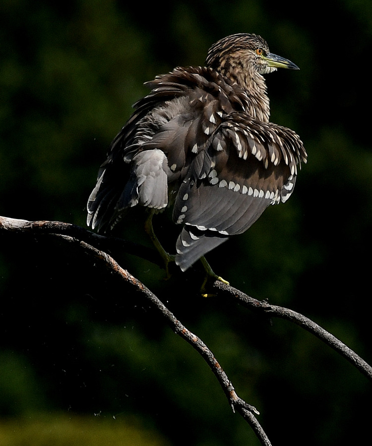 D5003_075144