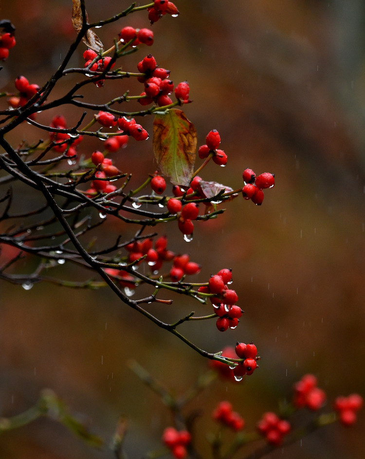 D5003_112656