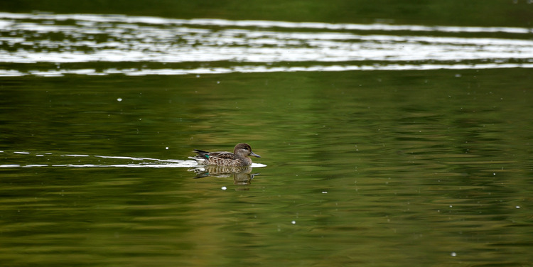 D5003_118079