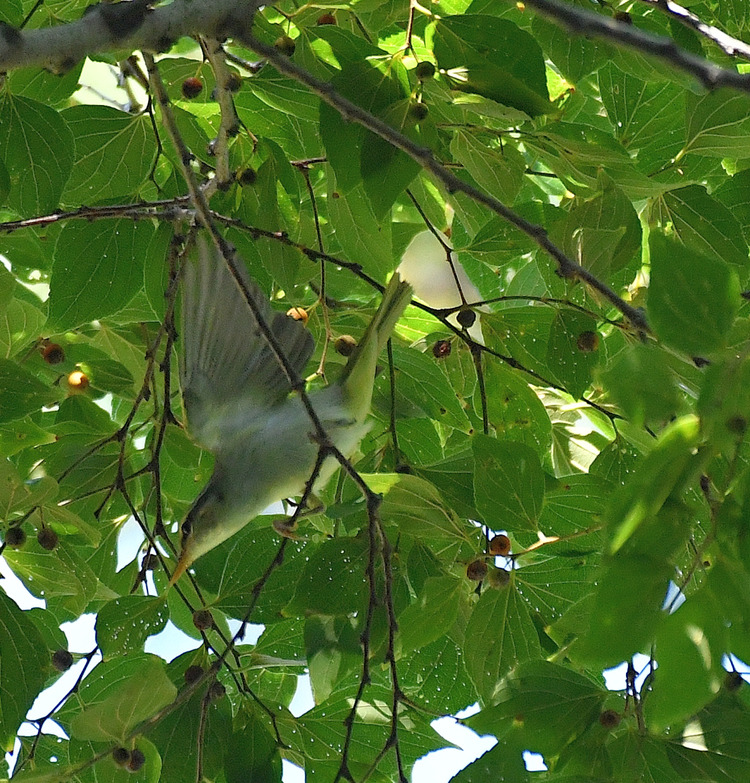 D5003_076782