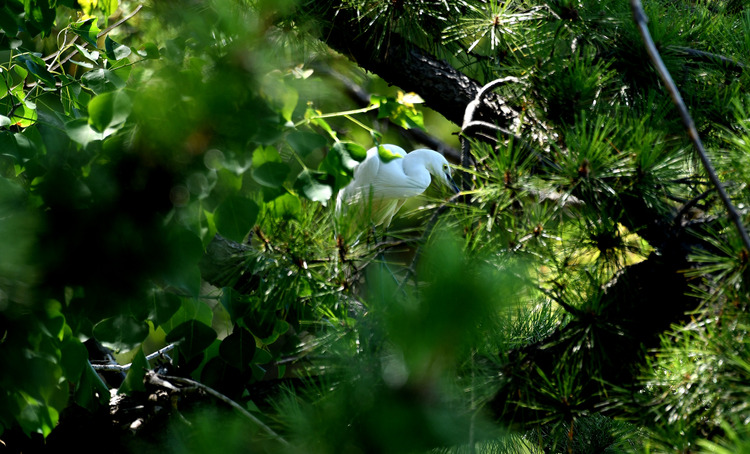 D5003_079278