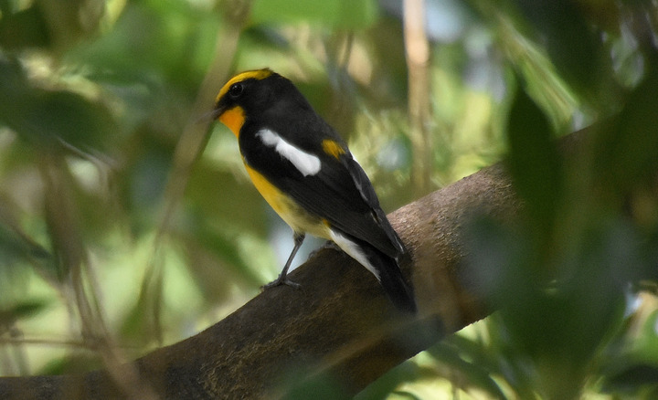 D7.2K3_083467