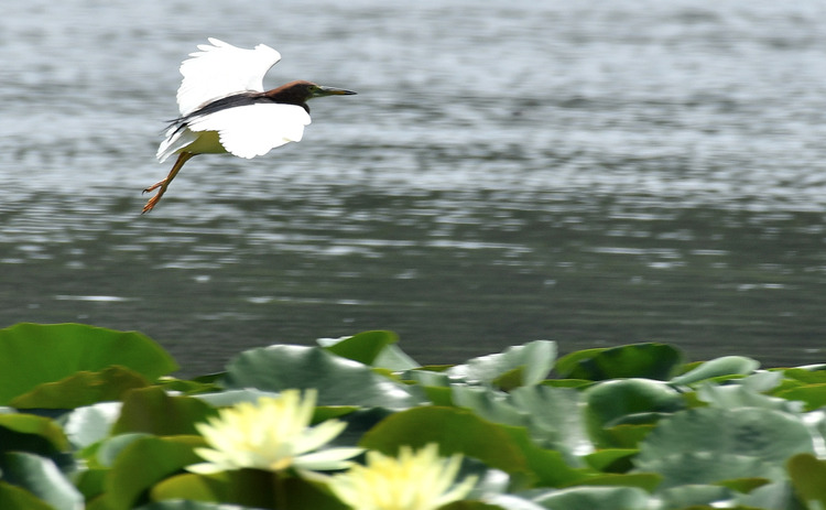 D5003_077266_01