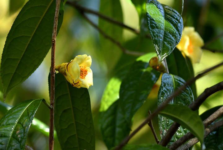 D5003_031280
