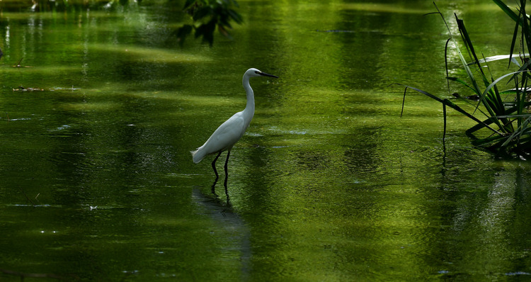 D5003_081275