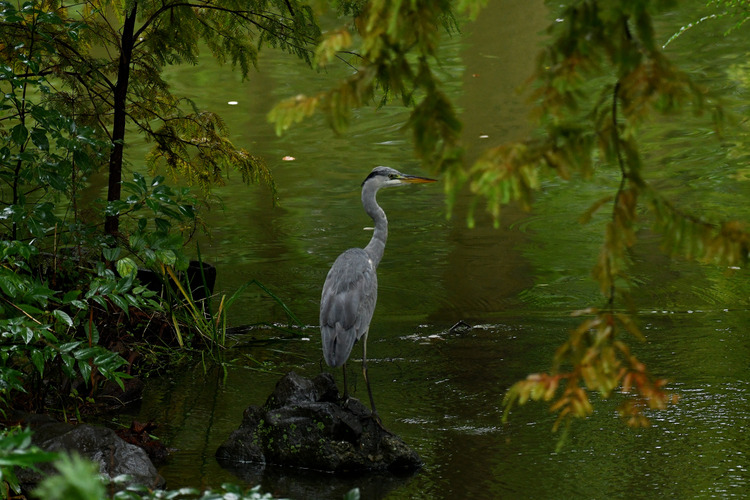 D5003_112876