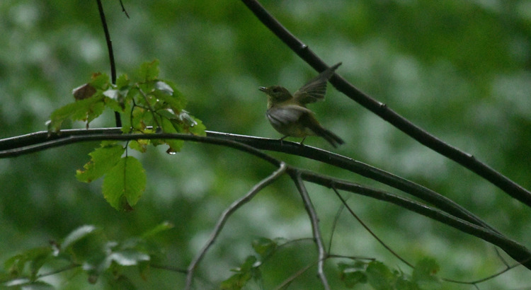 D5003_107060