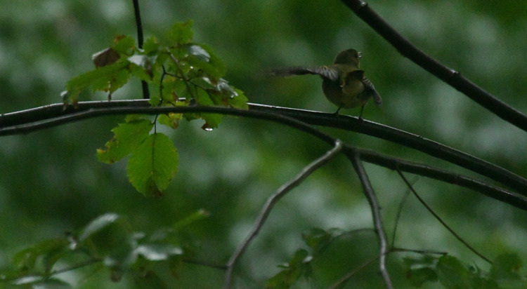 D5003_107069
