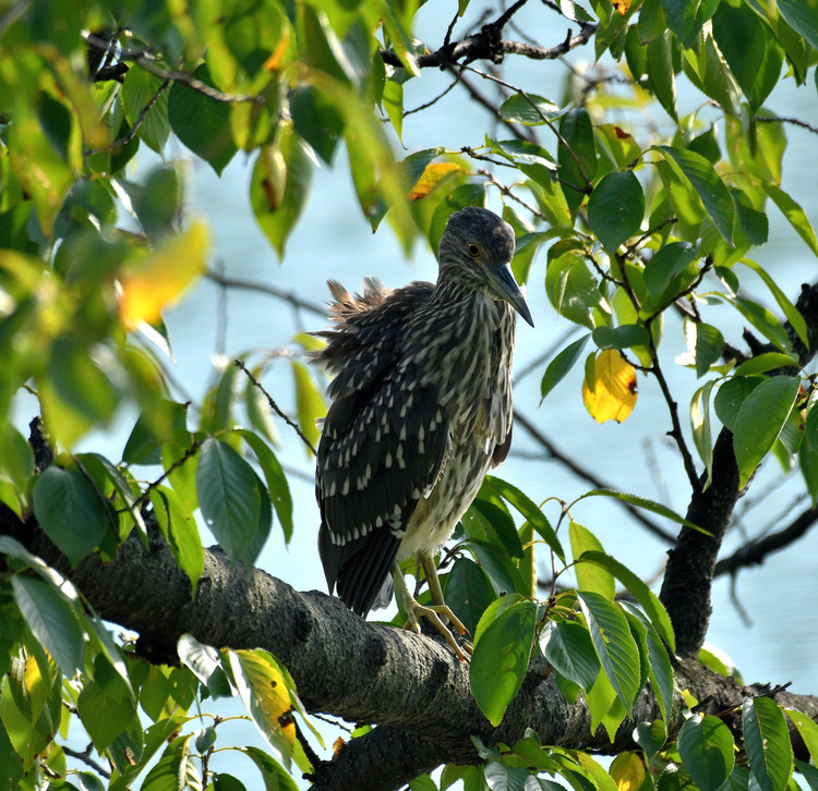 D5003_085250